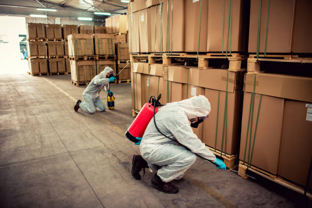 Best Affordable Pest Control Services  in Taylor Lake Village, TX