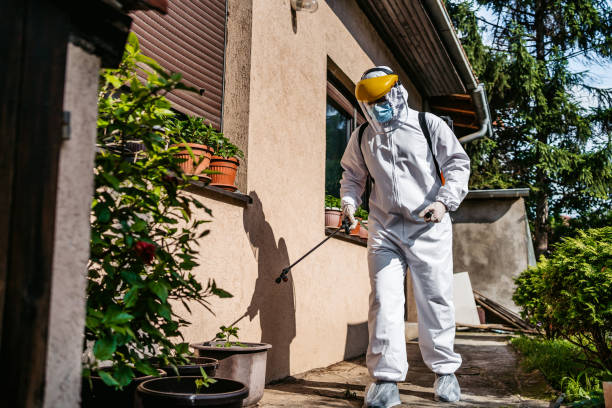 Reliable Taylor Lake Village, TX Pest Control Solutions