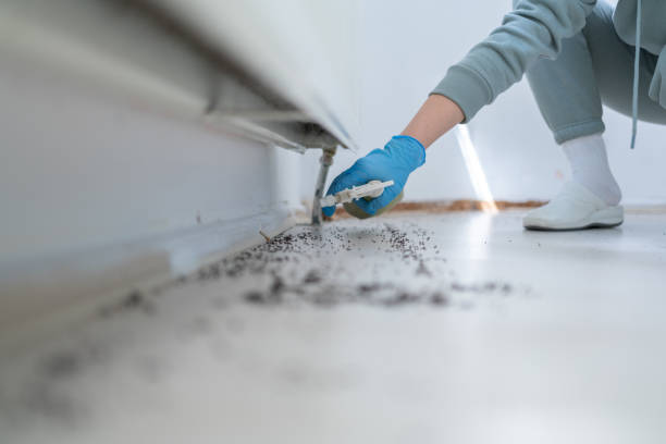 Best Commercial Pest Control Services  in Taylor Lake Village, TX